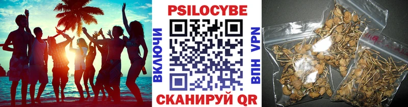мориарти наркотические препараты  хочу наркоту  Реутов  Галлюциногенные грибы ЛСД 