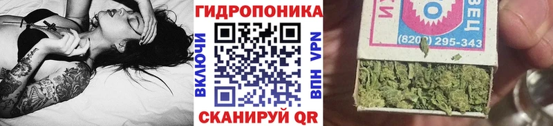 Конопля индика  Реутов 